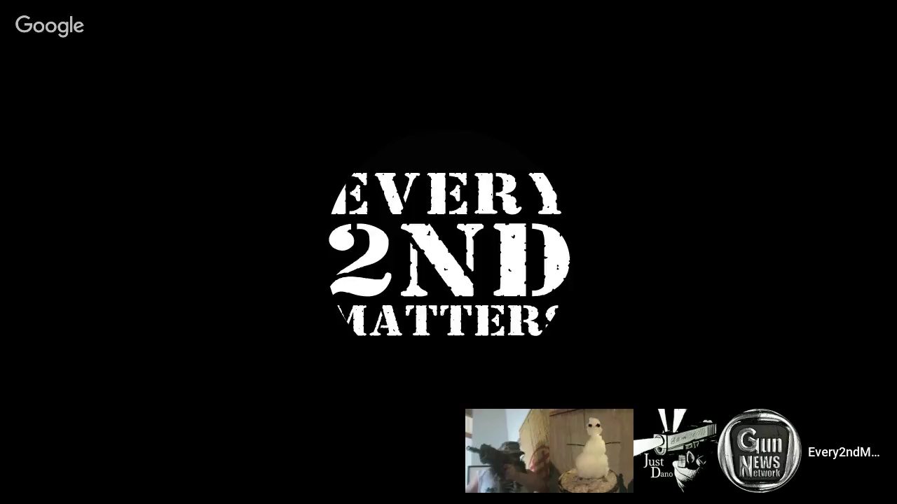 Every 2nd Matters Jan 2018 - 2018 Second Amendment Goals E2M Chat