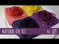 How to make vibrant natural dye  organic color  yellow orange purple  the love of colour dye kit