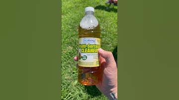 How to get rid of mice, rats, and snakes!￼