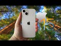 Iphone 15 Camera Test —Video Sample