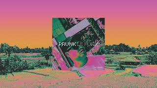 Prunk - Mushroom Jazz