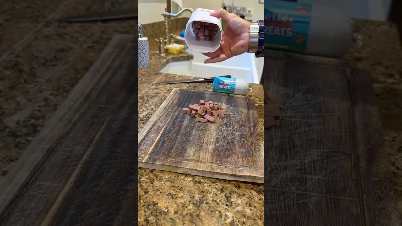 Perfect Bite-Size Dog Treats Fast