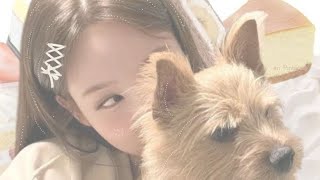 ୨୧ Veterinerlik Fakültesi Kazan