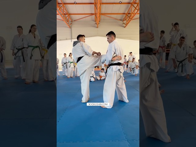 Cristian Boldut Fight Camp 2026 #kyokushin #shinkyokushin #karate #1kyokushin #一極真 #極真会館