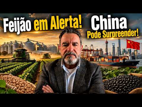 Produtor deve agir com estratégia no feijão e acompanhar as oportunidades abertas no mercado chinês