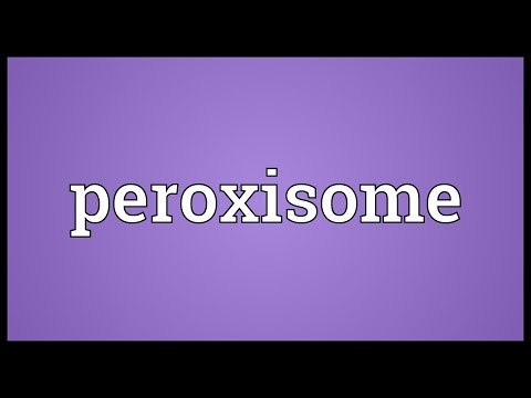 Peroxisome Meaning