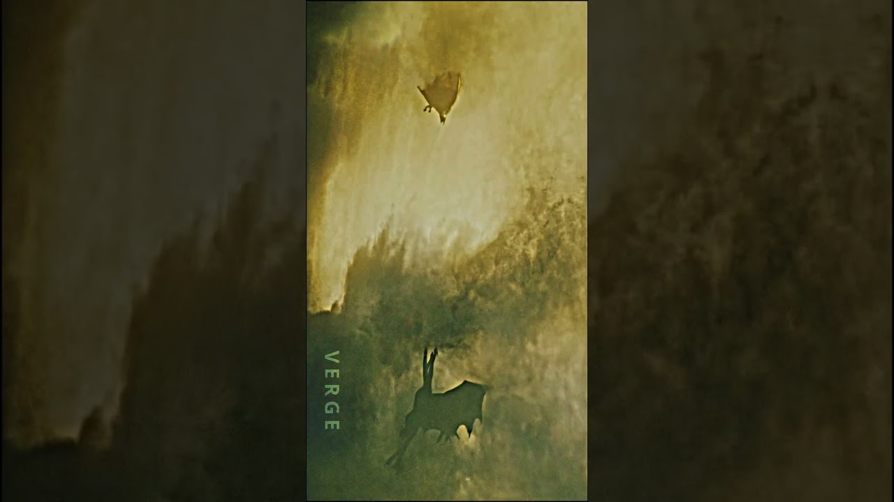 smoothest ghidorah edit you will see today #viral #godzilla #shortsfeed #godzillaxkongthenewempire