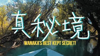 有錢也看不到的紐西蘭秘境｜Wanaka''s best kept secret!