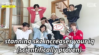 watch this skz video to prepare for your exams **143% EFFECTIVE**