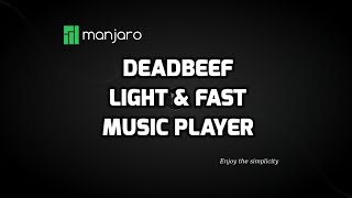 Deadbeef:  A light and fast music player screenshot 3