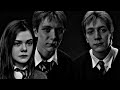 Fred and George [Wait, this is our story] | Harry Potter | First love (black version)