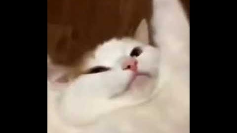 TDM RUSH GAMEPLAY ATTACK WITH GROOZA A3,A5,J2,J5,J7,S5,S6,S7,S9,A10,A20,A30,A50,A70#shorts #gaming