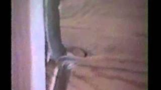 Log Wall To Sheetrock On A Log Home