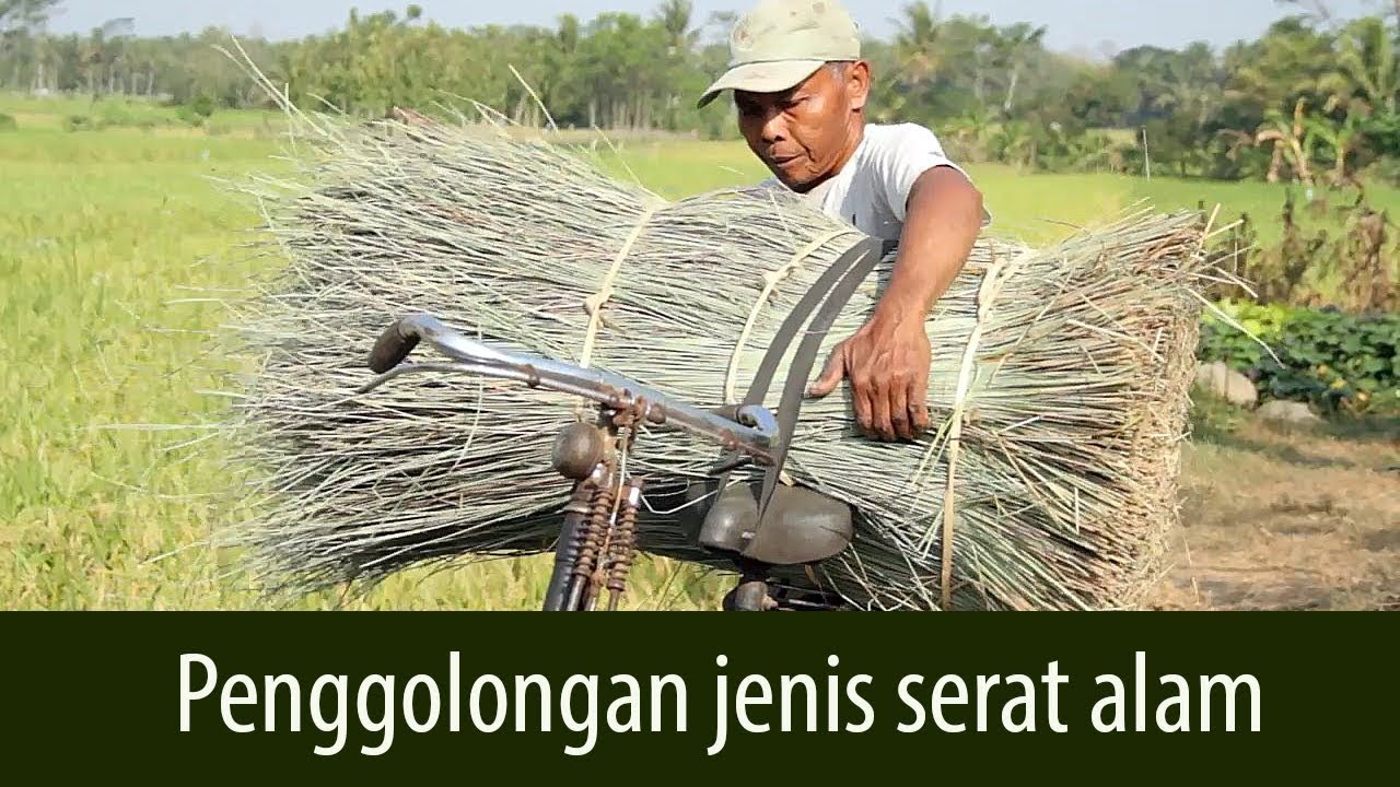 Prakarya Kerajinan  Penggolongan serat  alam  dan serat  