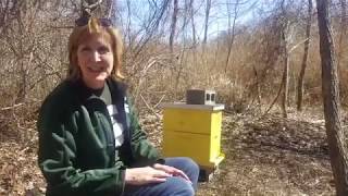 MSU Tollgate Farm Pollinator Project: Part 1: What is a Pollinator?
