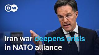 Trump, Rutte Meet Amid Iran War Tensions Dw News