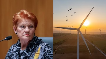 Net zero leads to the ‘destruction’ of Australia’s economy: Pauline Hanson