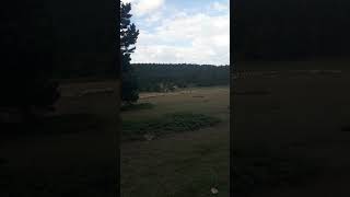 ışık dağı yayla