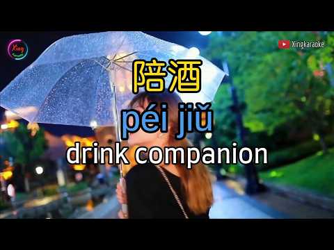 陪酒 Pei Jiu | Mandarin Song Cover