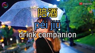  Pei Jiu  Mandarin Song Cover
