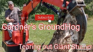 Gardners Groundhog Mini Excavator 2Nd Stump Removal