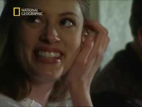 Interpol Akták Gyilkosság A Vonaton