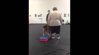 Leo, Leslie, & Michelle Part 4 (lesson resumed after break)