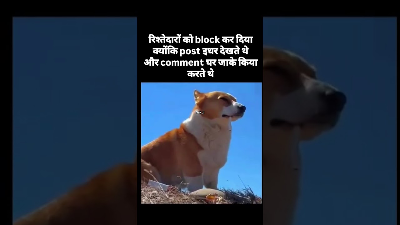 dogesh bhai attitude reality