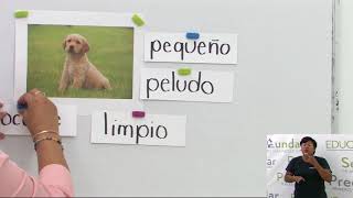 Primaria 1º y 2º clase: 191 Tema: Adjetivos calificativos Primaria 1º y 2º clase: 191 Tema: Adjetivos calificativos
