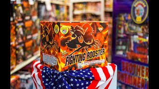 FIGHTING ROOSTER - CASEYS FIREWORKS