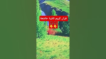 القران الكريم #تلاوة خاشعة #اكسبلور #اقنباسات #ترند #viralshort