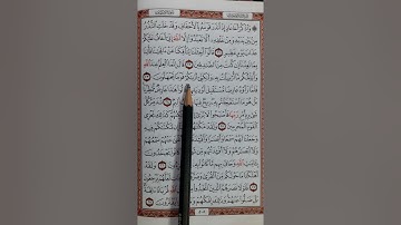 سورة الأحقاف من آية (٢١) إلى آية (٢٨)