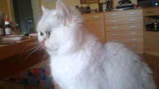 CAM00207