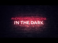 andrew rayel haliene in the dark extended mix