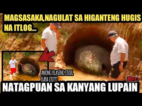 Video: Ang Salad Ng Capercaillie's Nest Na May Mga Itlog Ng Pugo