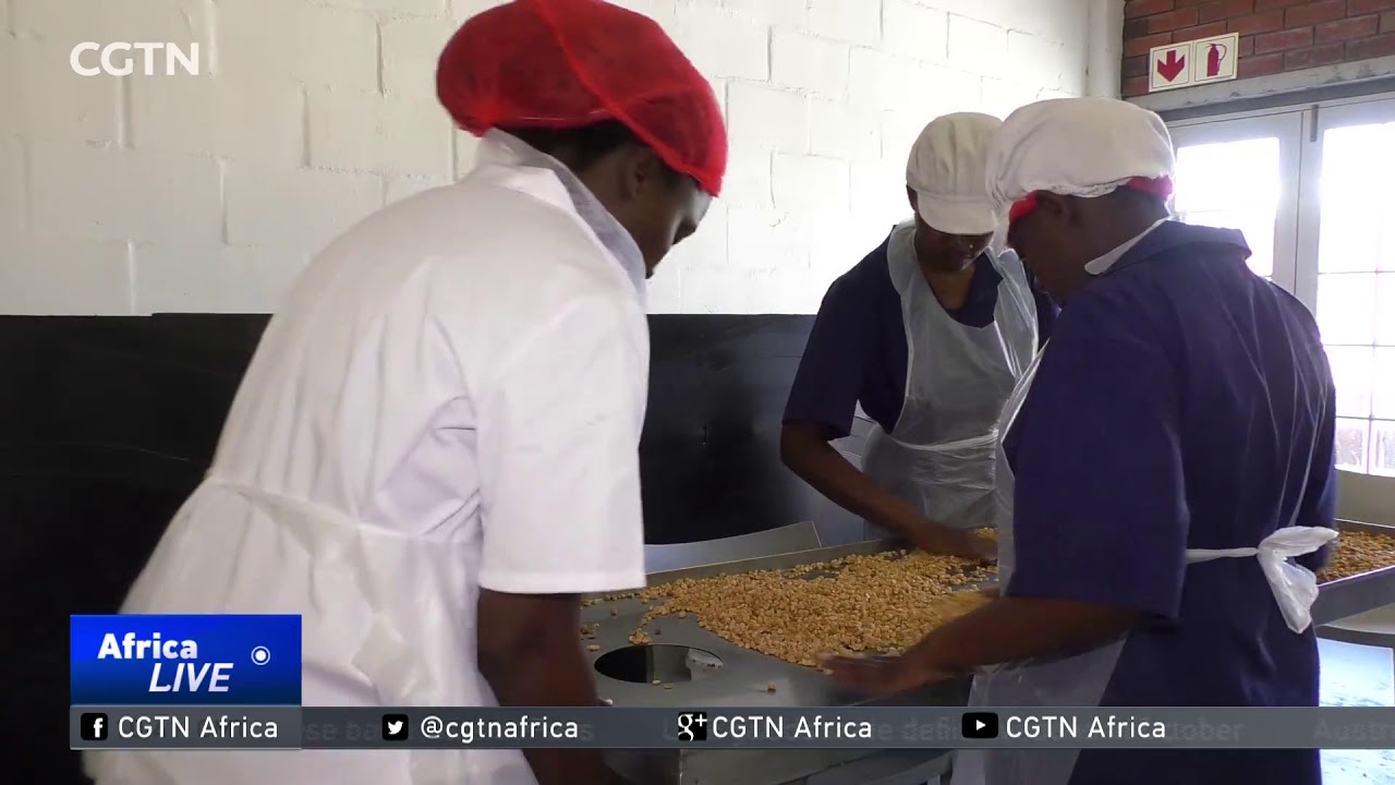 Cape Town foodie excels with all-natural, home-made peanut butter