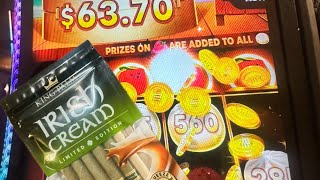 Getting Litty and trying to get Lucky on St.Patricks Day! With King Palm Irish Creams