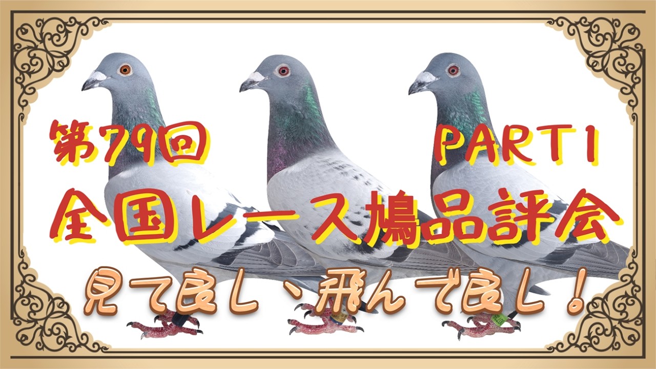 第79回 全国レース鳩品評会【PART1】
