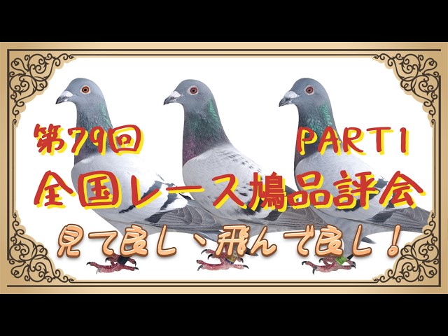 月刊　鳩友誌　全29冊　　レース鳩雑誌 月刊 鳩友誌 全29冊 レース鳩雑誌 月刊 鳩友誌 全29冊 レース鳩雑誌