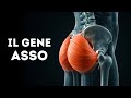 Il tuo corpo ha un codice che non conoscevi