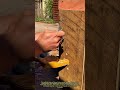 Carpenter’s Hidden Screw Trick for Super Strong Wood Joints! | Genius Woodworking Hack