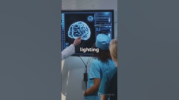 Do We Really Use Only 10% of Our Brain? 🧠
