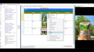 Tutorial 1 - JSON Editor