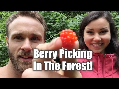 Berry