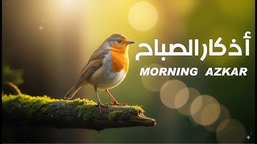 ✨ أذكار الصباح كاملة بصوت خاشع يريح القلب | القارئ محمد هشام| Morning Azkar Powerful Remembrance