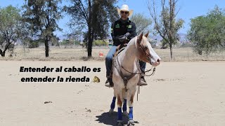 Entender al caballo es entender la rienda | Mariano Pedrero | Video 9