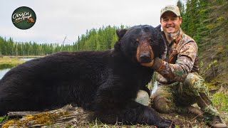 Black Bear Hunts Vol.1 | Best Of | Canada in the Rough (ULTIMATE Bear Hunting Compilation)