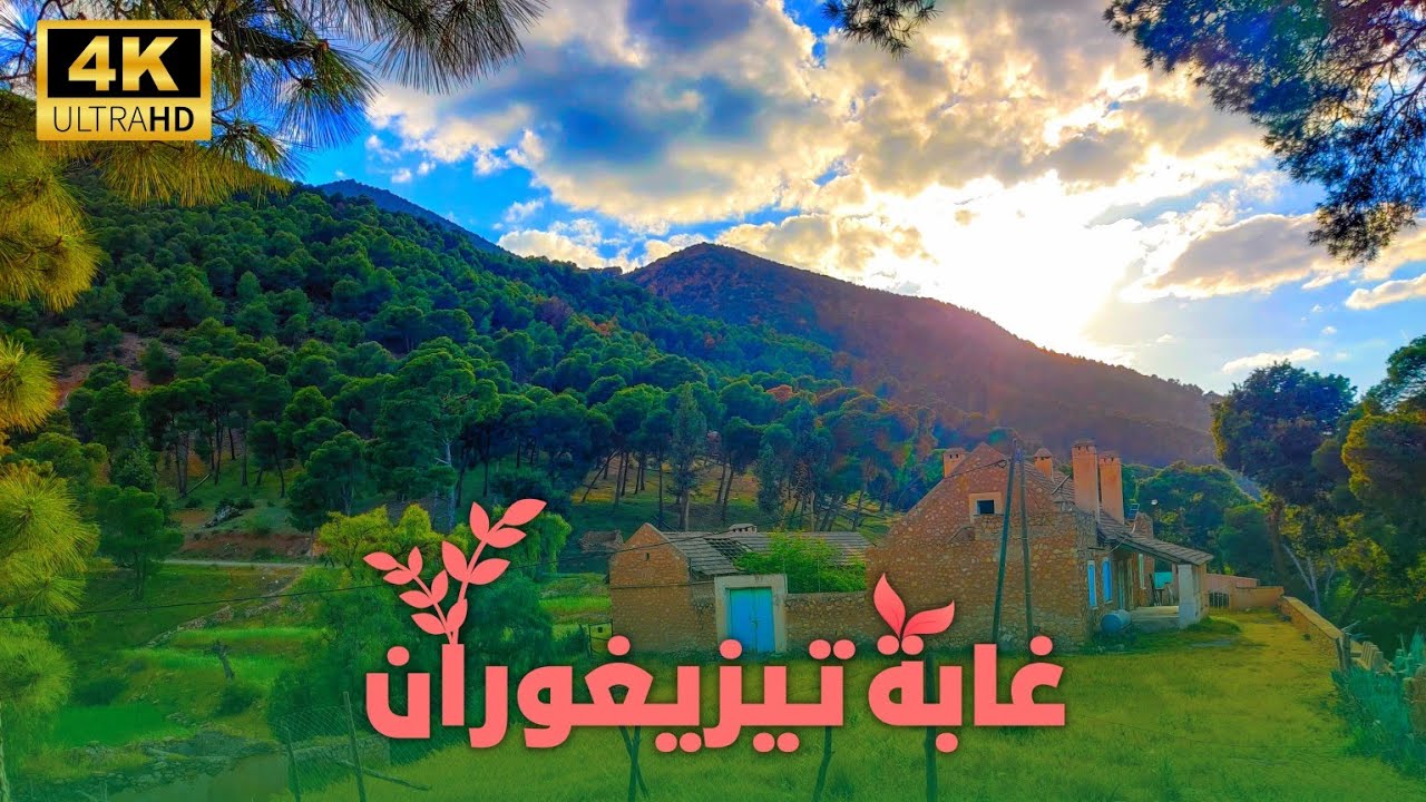 أمزميز غابة تيزيغوران 2022 (4k vidéo)
