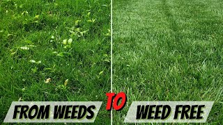 How To Eliminate Woody Weeds and Tree Saplings From Your Lawn