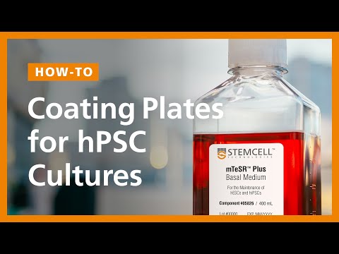 How to Transition hPSCs into mTeSR™ Plus: Plate Coating